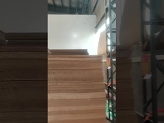 Slotter Flexoプリンターはダイ カッタ